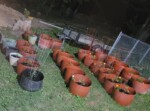 container garden